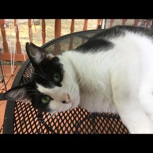 Meet your Posher, Jerry